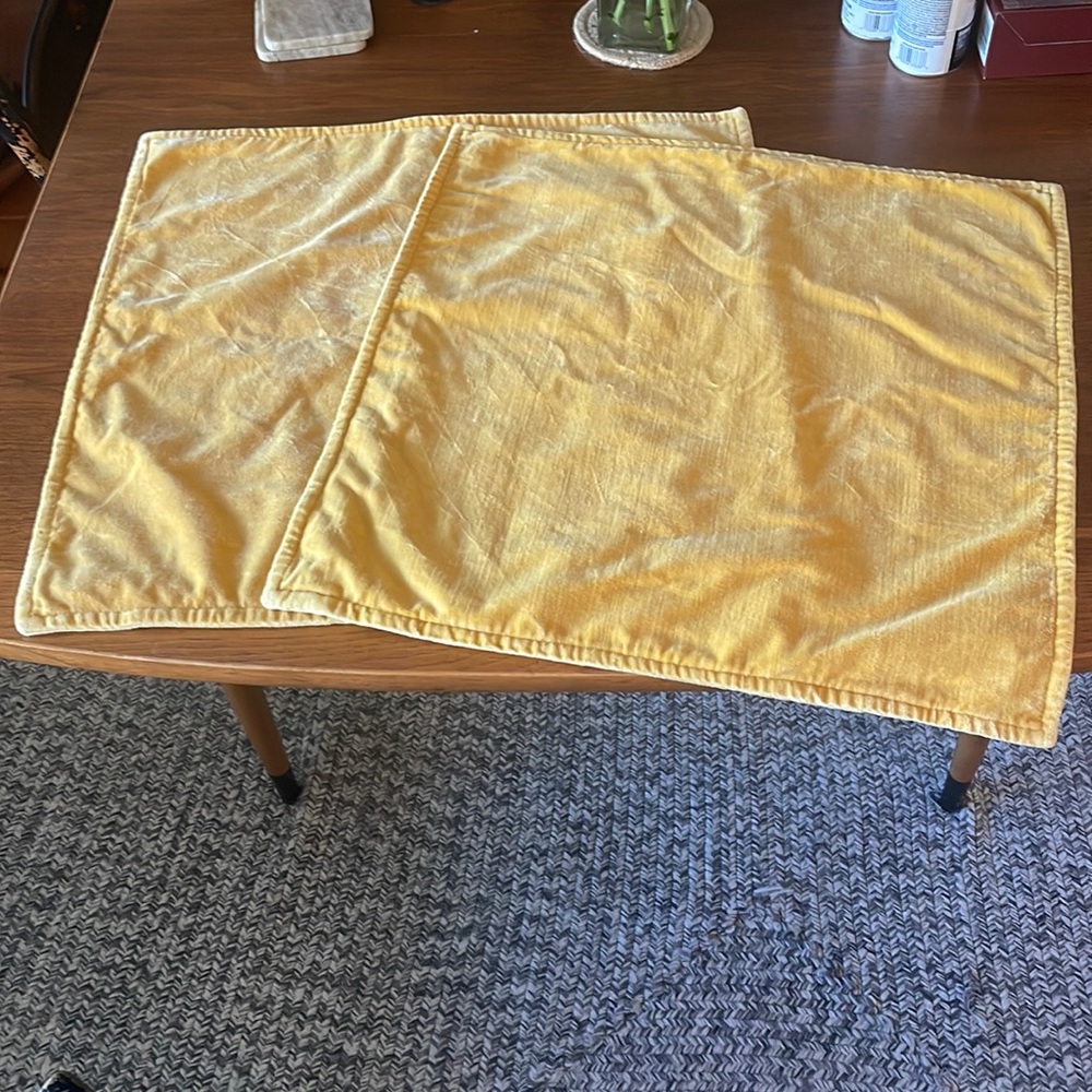 Two Pottery Barn Shams